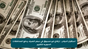 استقرار الدولار.. ارتفاع غير مسبوق في سعر الصرف يدفع المحافظات السورية للتغيير